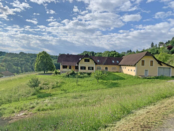 Österreich, Steiermark - grosses Haus mit 2 Wohneinheiten, Pferdestall, Reitplatz zu verkaufen!, Sabine Wesseln, Maras World of Horses (Maras World of Horses, Maras World Solutions S.L.), Nieruchomości jeździeckie, Edelsbach bei Feldbach