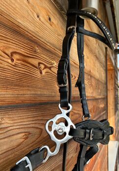 Baby Hackamore Trense von Loesdau Loesdau