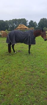 Back on Track Brianna 145cm, 50g., Back on track  50g. Decke mit Welltex , Gaby , Horse Blankets, Sheets & Coolers, Heide