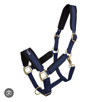 Back on Track Halter full, Back on Track Werano, Fiammetta, Halfter, Trofarello