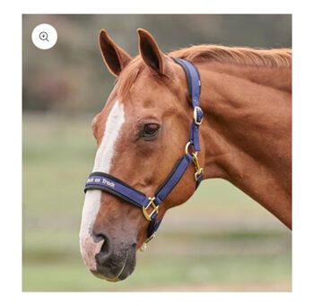 Back on Track Halter full Back on Track Werano