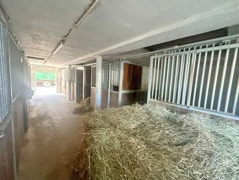 Baden-Württemberg, Landkreis Heilbronn - Reitanlage zu verkaufen!