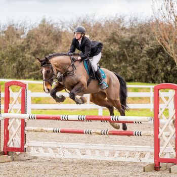 Top amateur showjumper
