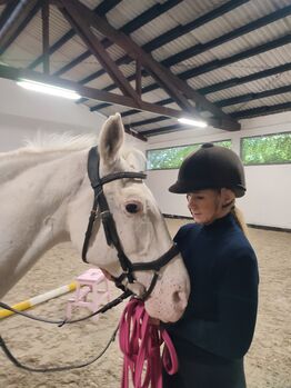 Top Freizeit Begleiter, Daniel , Horses For Sale, Bitburg