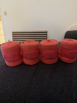 Bandagen Eskadron Lachsfarbend Eskadron 