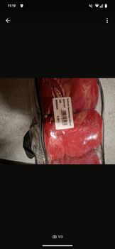 Bandagen Fleece, Goldhorse , Beatrice , Bandagen & Unterlagen, Basel 
