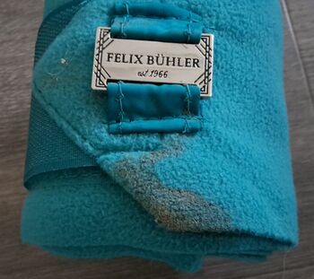 Bandagen Größe Warmblut Felix bühler 