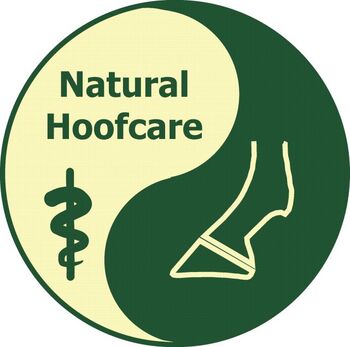 Barhufpflege, Hufpflege, Hufbearbeitung, kein Schmied!!, NHC - Natural Hoofcare, Diana Krammer, Therapy & Treatment, Löbau