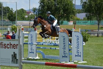 Hocherfolgreiches Amateur-Springpferd zu Verkaufen, Richard Wurth, Konie na sprzedaż, Oberkirch