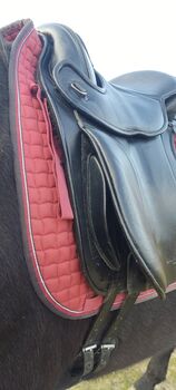 Barefoot London Sattel Baumlos Größe 1 VPS Barefoot  London 