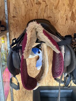 Barefoot Nottingham, Barefoot Nottingham, Franziska, Treeless Saddle, klagenfurt