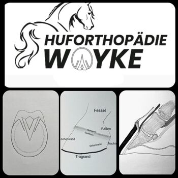 Barhuf, Hufbearbeitung, Huforthopädie,, Huforthopädie Woyke, Sonstiges, Aystetten