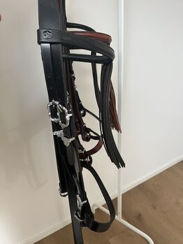 Barocke Zäume mit Zierschnallen