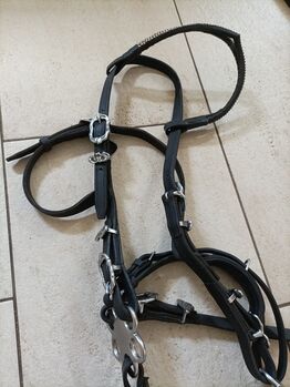 Barock Trense Sidepull Hackamore, Groskorth Barock, Nadine, Bitless Bridles, Rullstorf