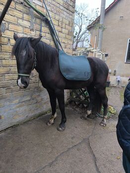 Barockpinto Rohdiamant