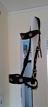 Barock Trense, Judith , Bridles & Headstalls, Dogern