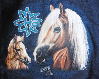 schöne Kinder Pullover Shirts (Gr.152-164, Pferd Haflinger), CN, Children's Shirts & Tops, Altusried