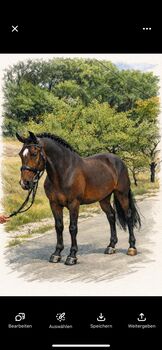 Wunderschöner Wallach mit einem Herz aus Gold, Lara Kovacsevics, Horses For Sale, Hörsching