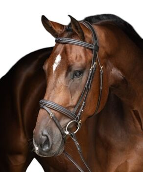 Wunderschöner Hunter Trensenzaum in COB sehr Edel im Design schwarz UVP50€, Covalliero , WOW Pferd  (WOW Pferd Shop), Bridles & Headstalls, Bayern - Attenkirchen