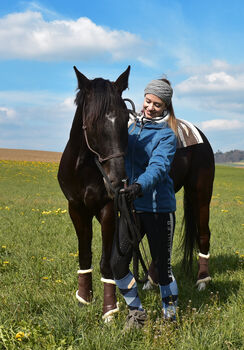 Schöne Stute für den Freizeitreiter, Maria Mühlheim, Horses For Sale, Worb