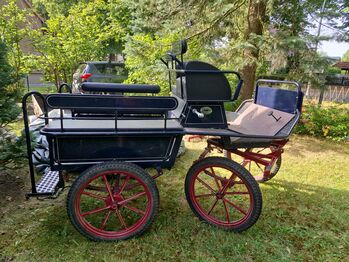 Verkaufe gebrauchte Wagonette, kleine Lackachäden, Christine Tasche, Carriages, Falkensee