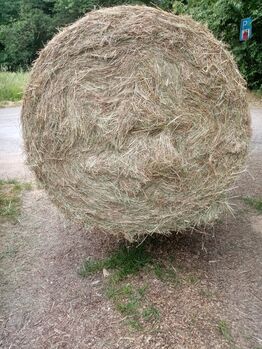 Rundballen, 1,25 m aus 06/2023 ohne Kunstdünger, Schultz, Siano i słoma, Hennef