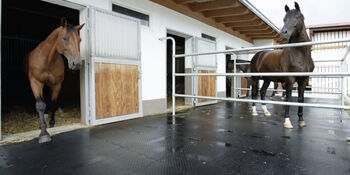 Belmondo Paddock Puzzlematte 24mm Pferdematte für Nassbereiche, Belmondo (Kraiburg Gummiwerke) Belmondo Paddock, Andree Nyhuis (WKH GmbH), Horse & Stable Mats, Emlichheim