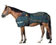 BEMER Horse blanket