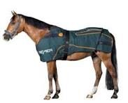 BEMER Horse blanket, John Woolf, Horse Blankets, Sheets & Coolers, Barnstaple
