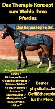 Bemer Horse Set Bemer Horse Set