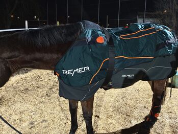 Bemer Horse Set Bemer  Horse Set