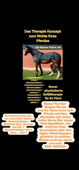 Bemer Horse Set    möchtest du Partner werden? Refinanzierung?, Bemer Bemer, Mirjam Wrede, Derki dla konia, WESERTAL