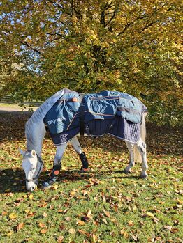 Bemer Horse Set jung gebraucht neuwertig, Bemer  Horse , Mirjam Wrede (Reittherapie ), Horse Blankets, Sheets & Coolers, WESERTAL