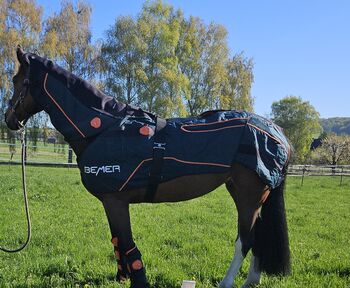 Bemer Horse Set Premium komplett Halsteil Gamaschen, Bemer Horse Set Premium, Mirjam Wrede (Reittherapie ), Für Pferde, WESERTAL