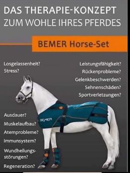 Bemer Horse Set Premium Bemer Horse Set Premium