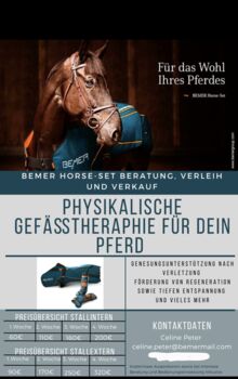 Bemer Horse Set Verleih, Bemer, Celine , Therapie & Behandlung, Osnabrück 
