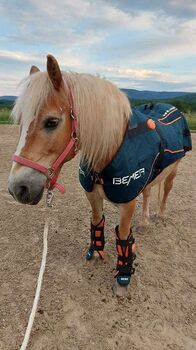 Bemer Horse Set top Zustand, Bemer Horse-Set, Diane, Derki dla konia, Parchim