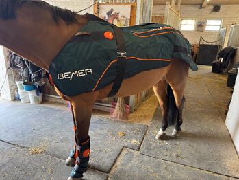 Bemer Horse-Set Bemer 