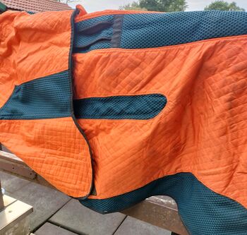 Bemer Horse Set Bemer Bemer Horse Set