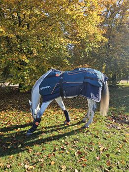 Bemer Horse Set Vorführset, Bemer Bemer Horse Set, Mirjam Wrede, Horse Blankets, Sheets & Coolers, WESERTAL