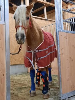 Bemer Decke, Anna Eberhart, Horse Blankets, Sheets & Coolers, Ebersbach-Musbach