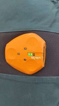 Bemer Horse Set top Zustand Bemer Horse-Set