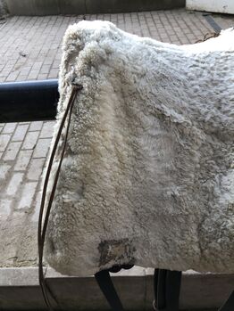 Bentaiga Campo Flex Bentaiga Campo Flex