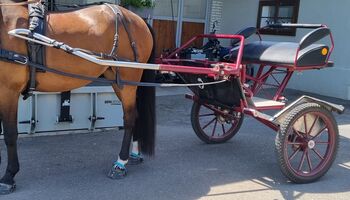 Bequeme und stabile Gig / Einachser Kutsche Delvos Metallbau GmbH Big Swing