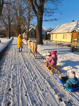 Berittenes Bilderbuch Kinderpony mit freundlichem Charakter