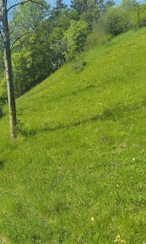 Weide Offenstall zu pachten gesucht, Sabine , Horse Shelters & Tents, Witzenhausen