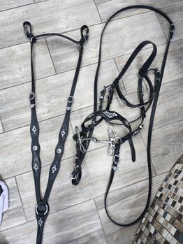 Trense mit Vorderzeug, Katja Böhm, Saddle Accessories, Pitten