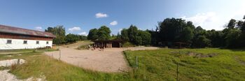 Bewegungstall Offenstall hat Platz für zwei Wallache frei, AL, Horse Stables, Lettenreuth