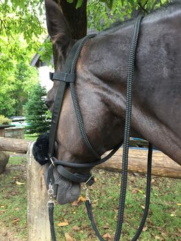 Bidless Bridle, Nicht bekannt , Kristina , Bitless Bridles, Lohmar 