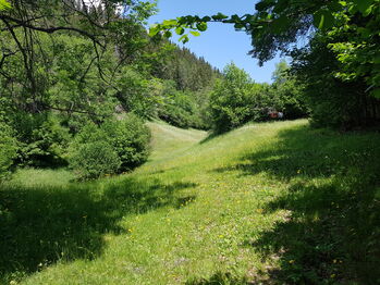 Biete Weide/ suche Equiden, A. Mathys, Horse Stables, Fürgangen